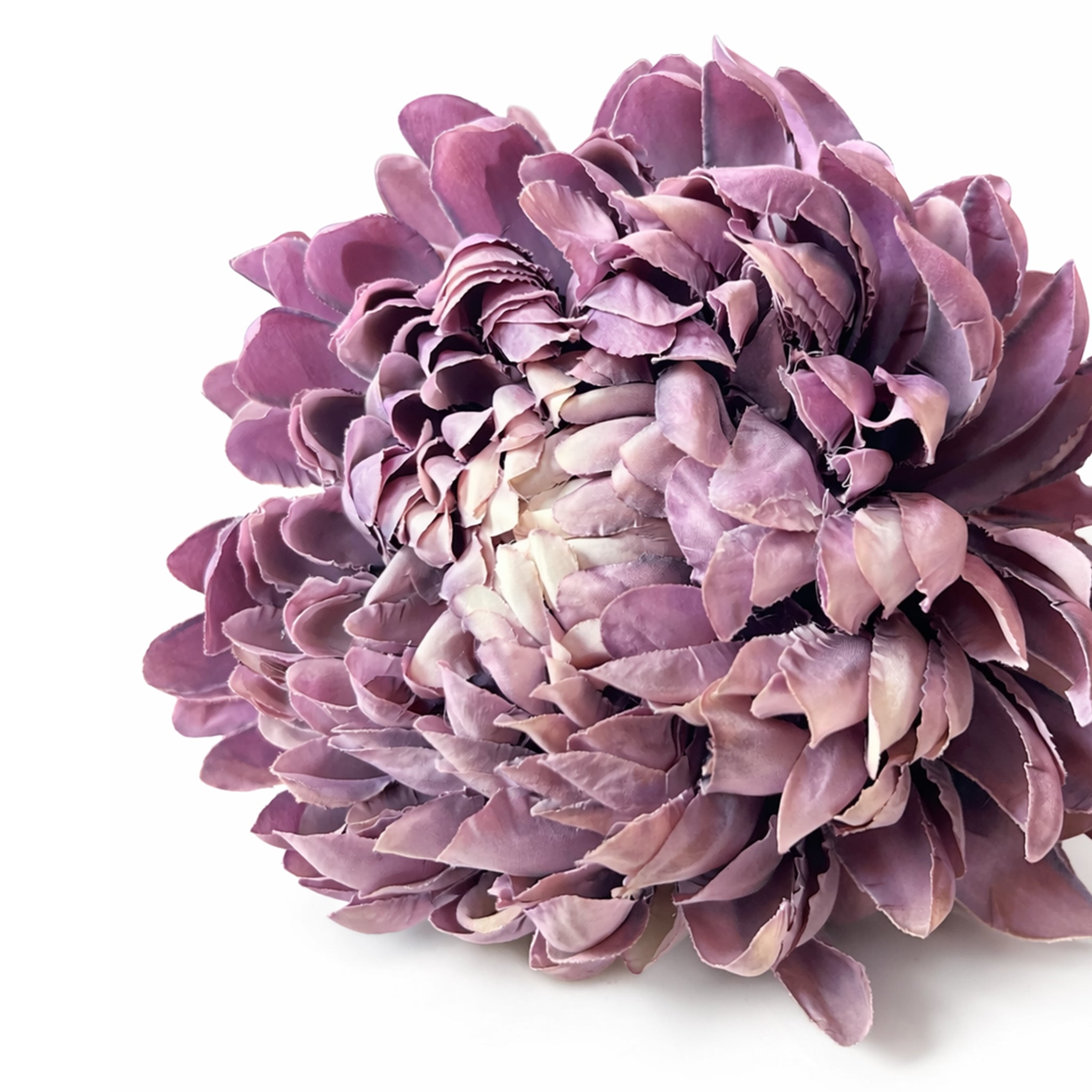 Chrysant tak Paars