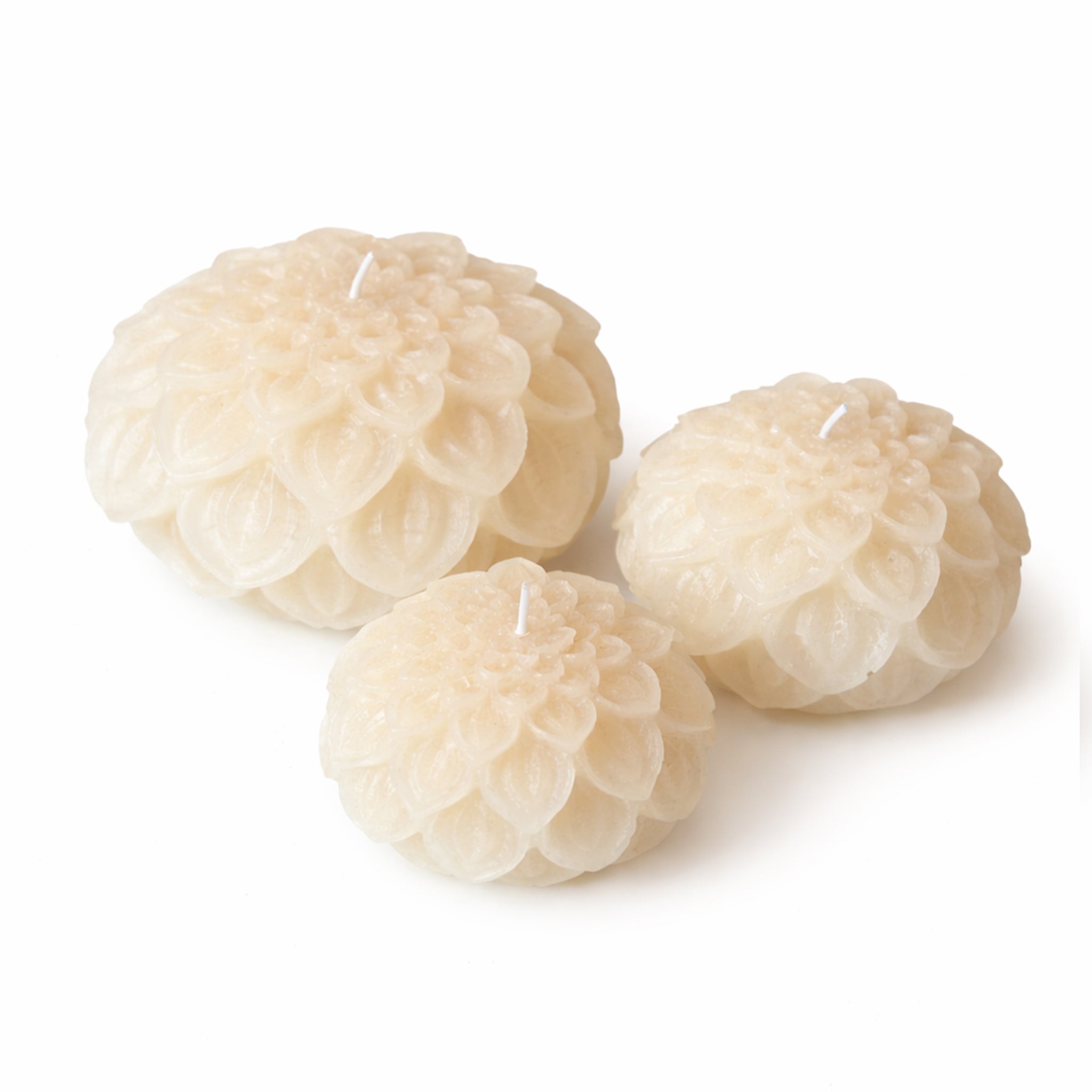 Dahlia kaars Ivory
