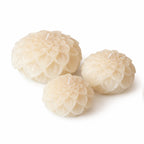 Dahlia kaars Ivory