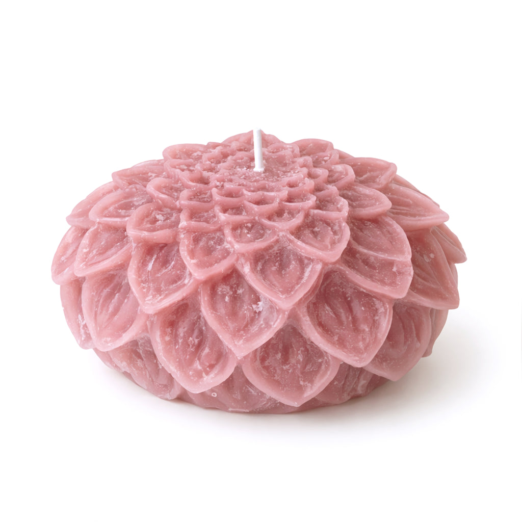Dahlia kaars oud Roze