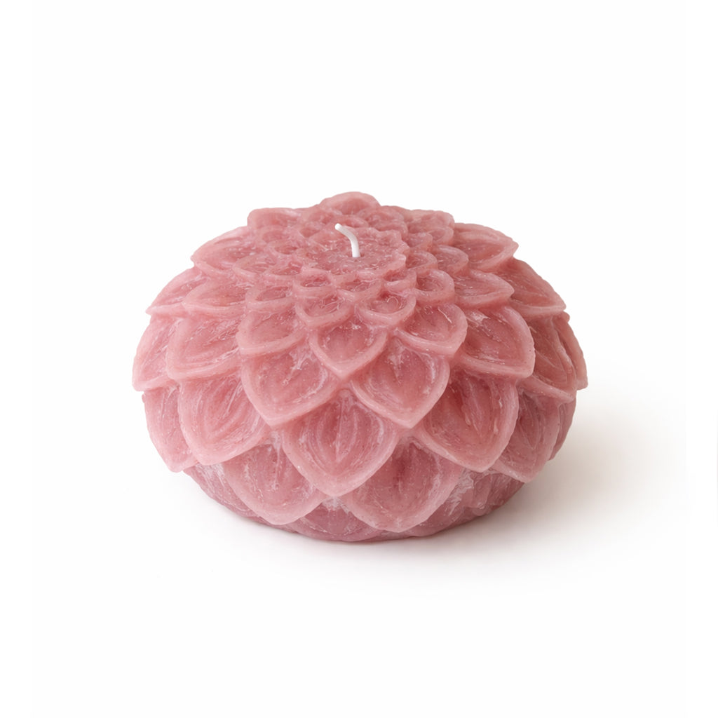 Dahlia kaars oud Roze