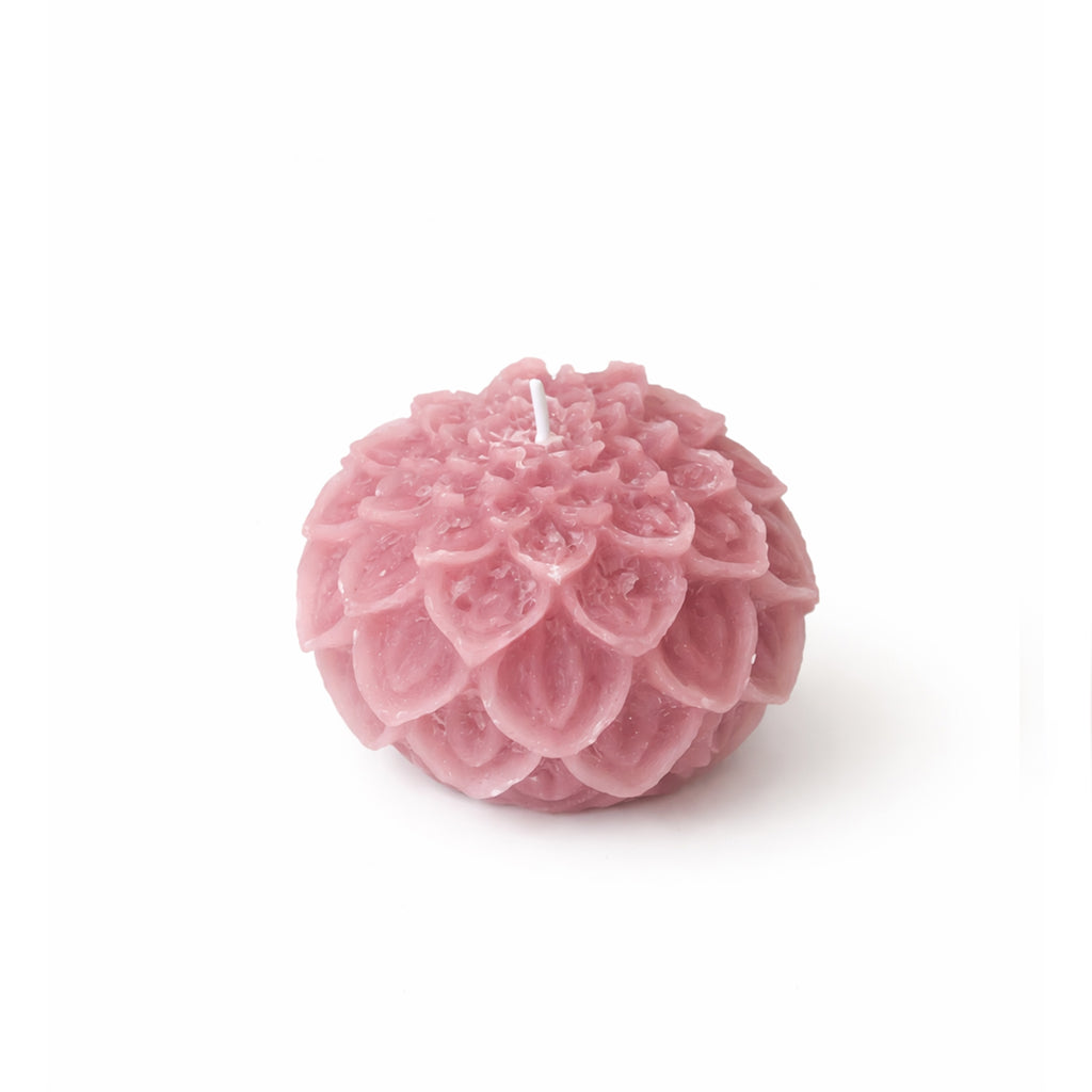 Dahlia kaars oud Roze