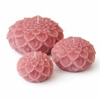 Dahlia kaars oud Roze