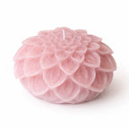 Dahlia kaars licht Roze