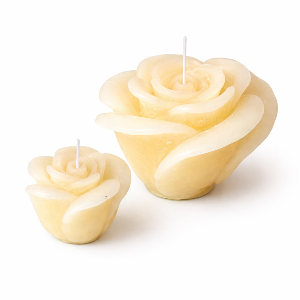 Roos kaars Ivory