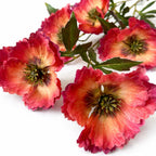 Poppy spray Mauve