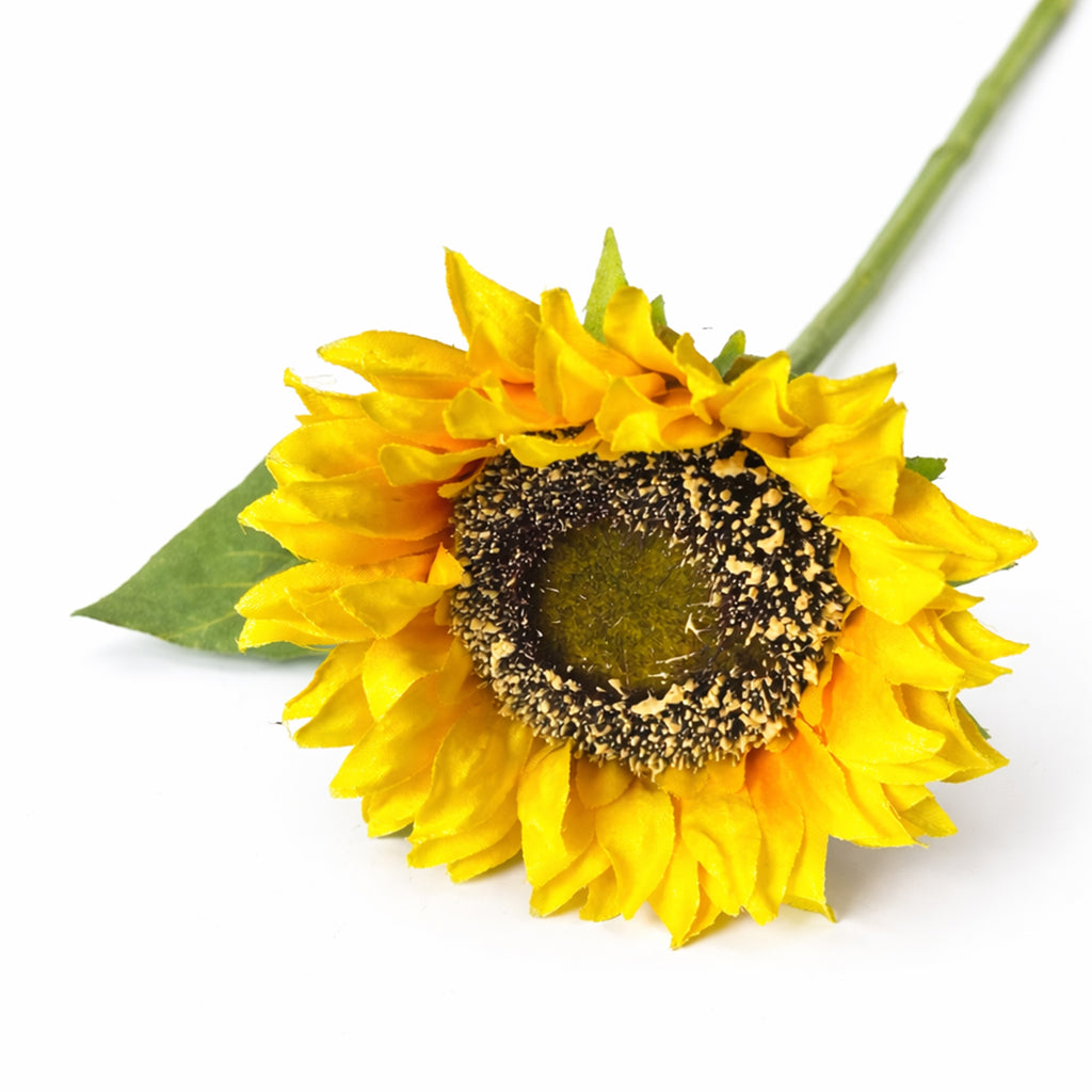 Zonnebloem