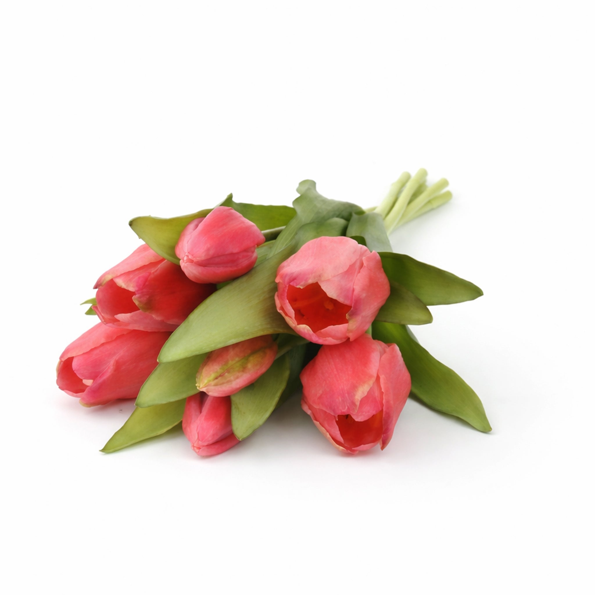 Tulpen, Real Touch, Donkerroze, 7st.