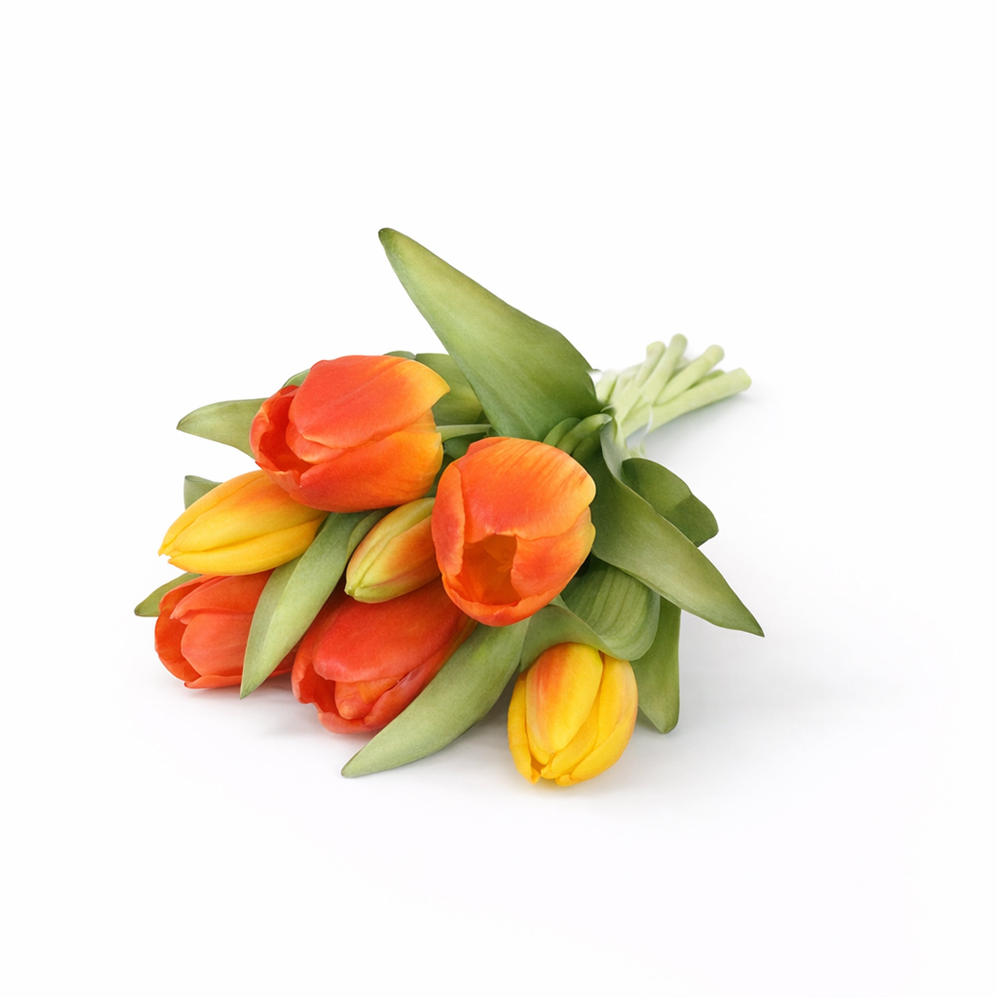Tulpen, Real Touch, Oranje/Geel, 7st.